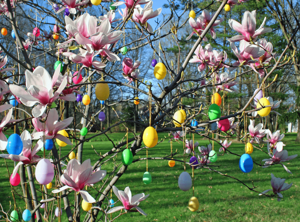Huevos de colores colgados de un árbol en flor.